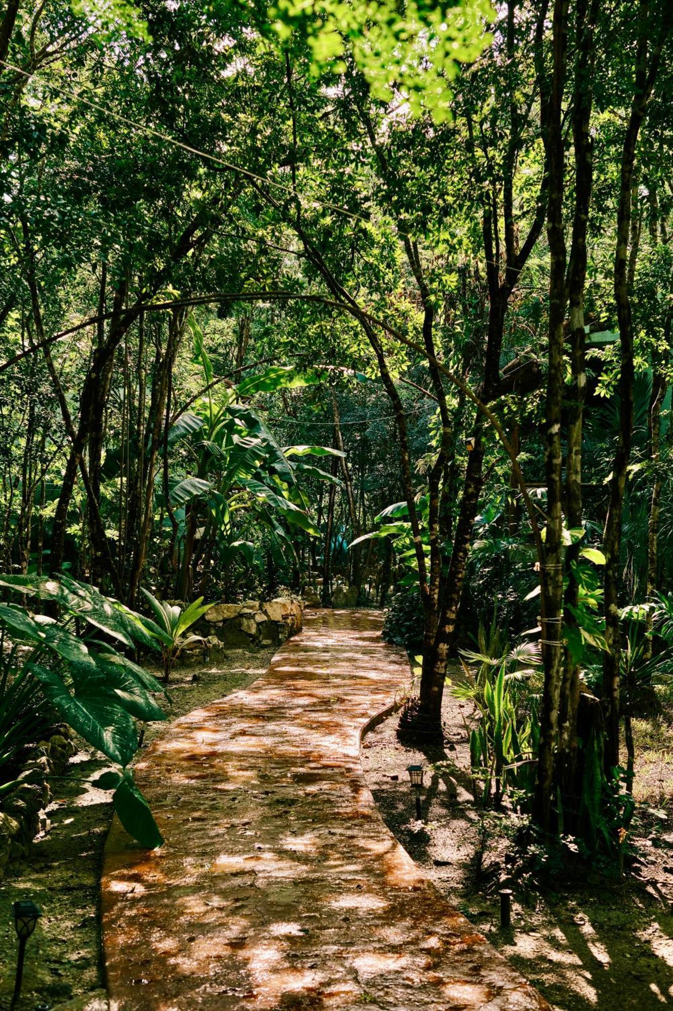 Villas Zamna - Jungle Villas 科苏梅尔 外观 照片