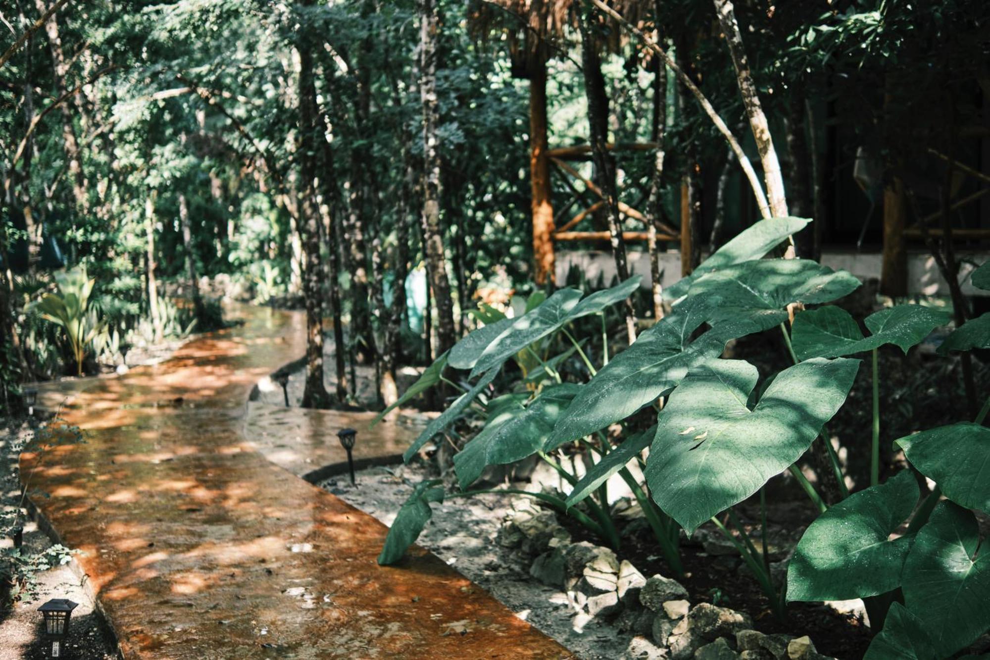 Villas Zamna - Jungle Villas 科苏梅尔 外观 照片