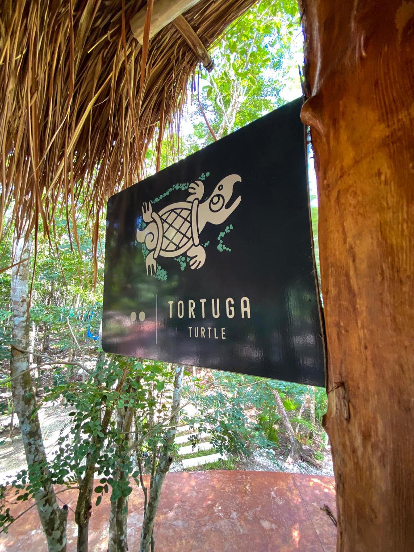 Villas Zamna - Jungle Villas 科苏梅尔 外观 照片