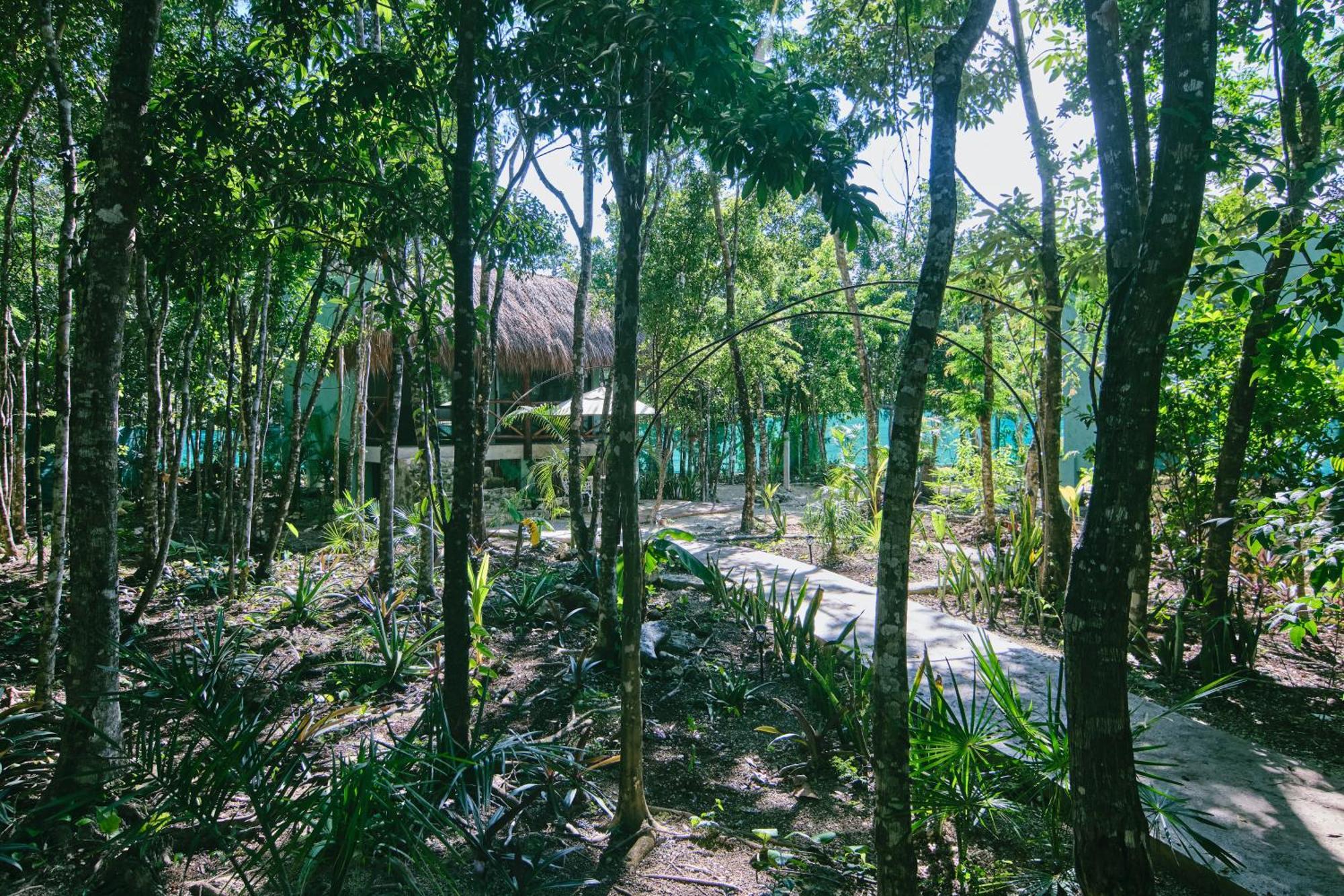 Villas Zamna - Jungle Villas 科苏梅尔 外观 照片