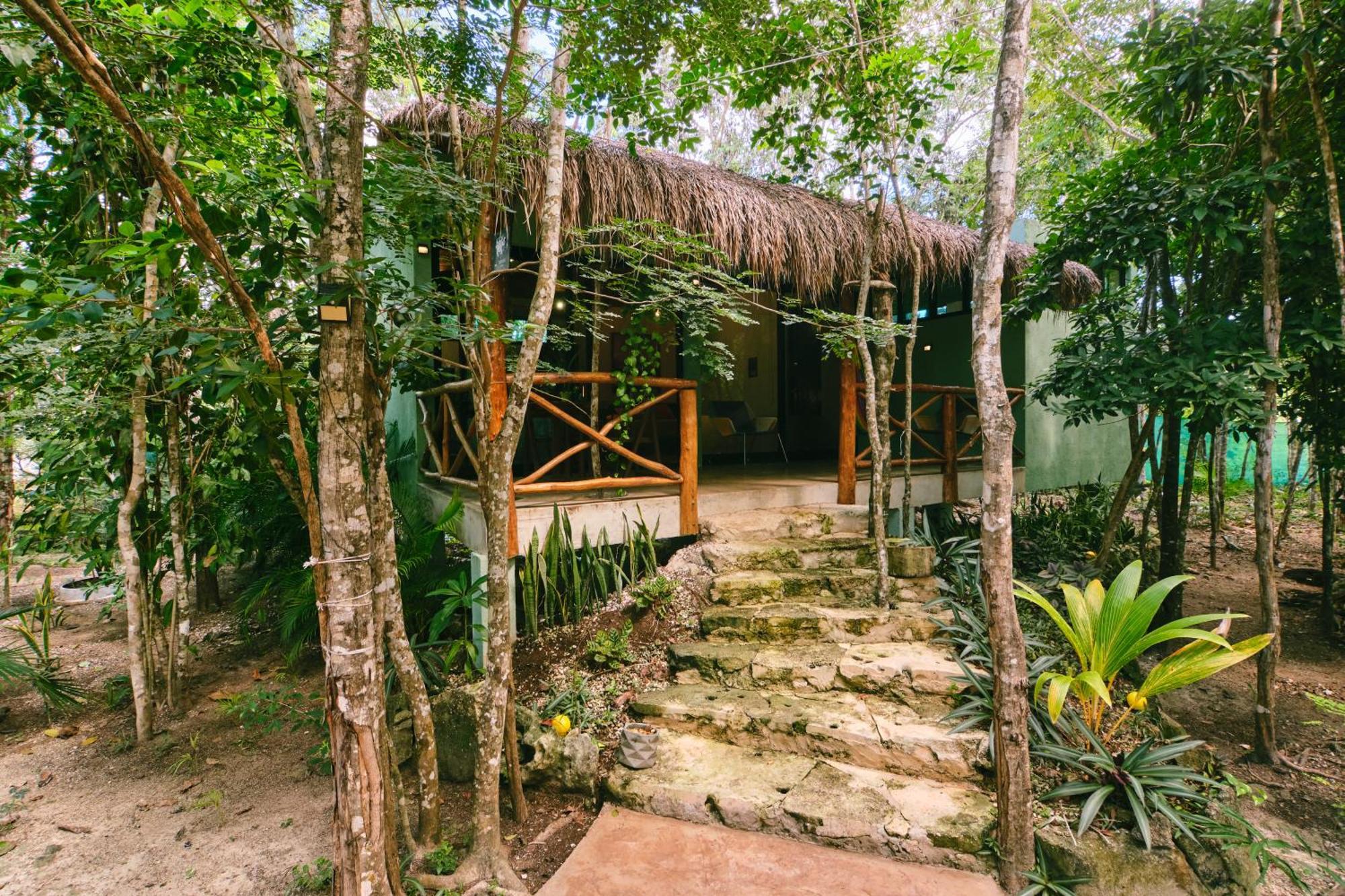 Villas Zamna - Jungle Villas 科苏梅尔 外观 照片