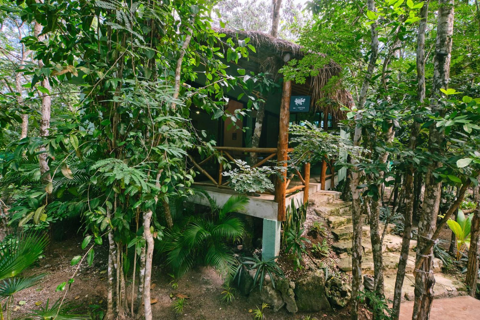 Villas Zamna - Jungle Villas 科苏梅尔 外观 照片