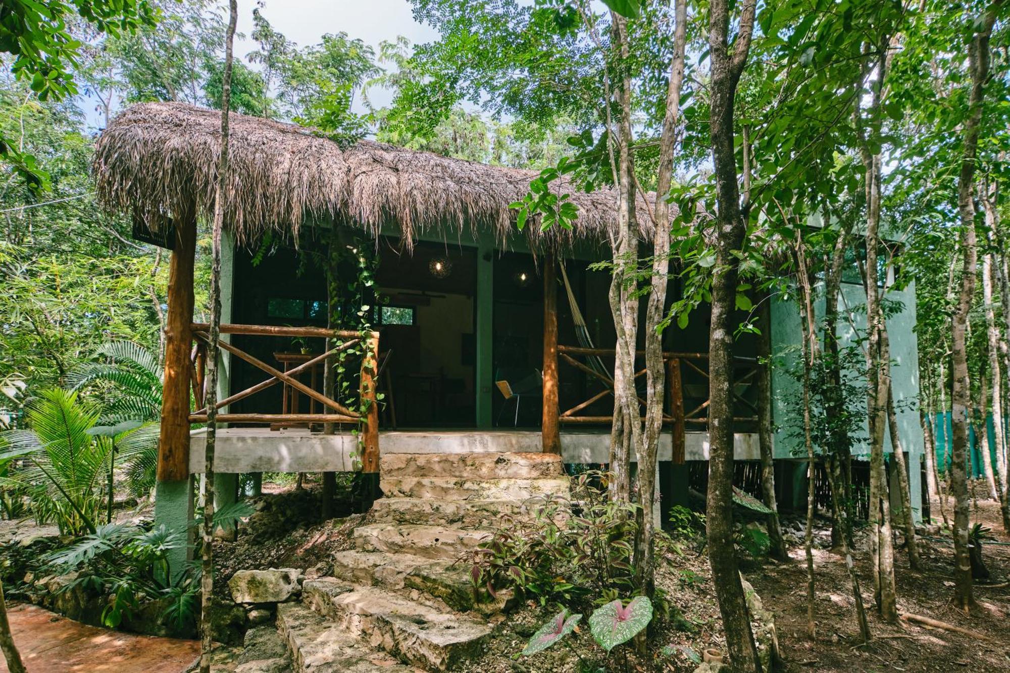 Villas Zamna - Jungle Villas 科苏梅尔 外观 照片