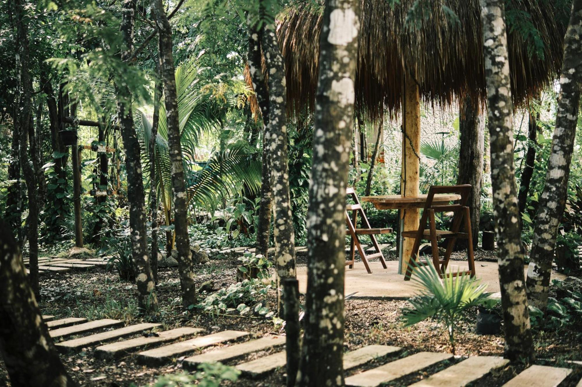 Villas Zamna - Jungle Villas 科苏梅尔 外观 照片