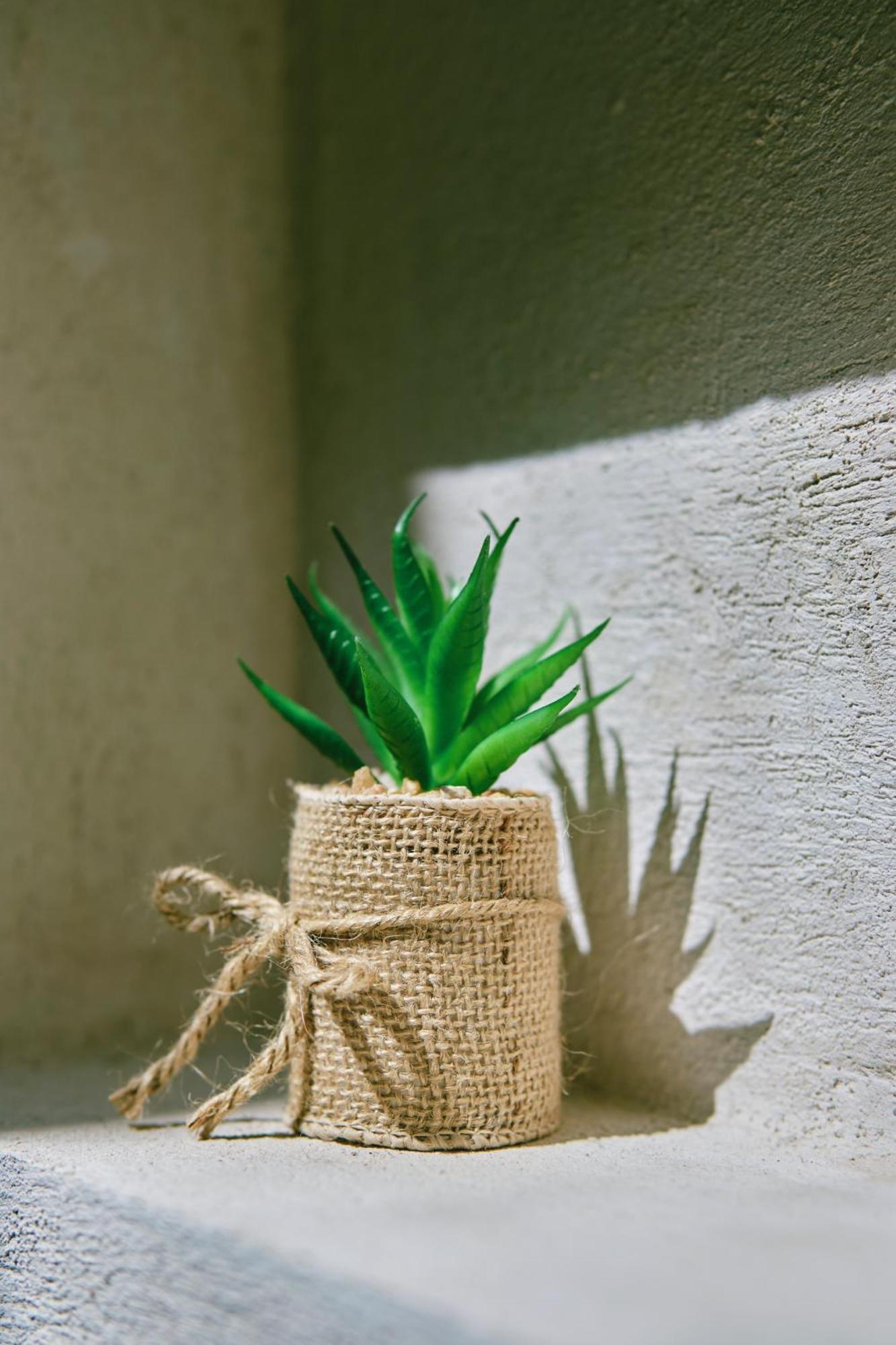 Villas Zamna - Jungle Villas 科苏梅尔 外观 照片