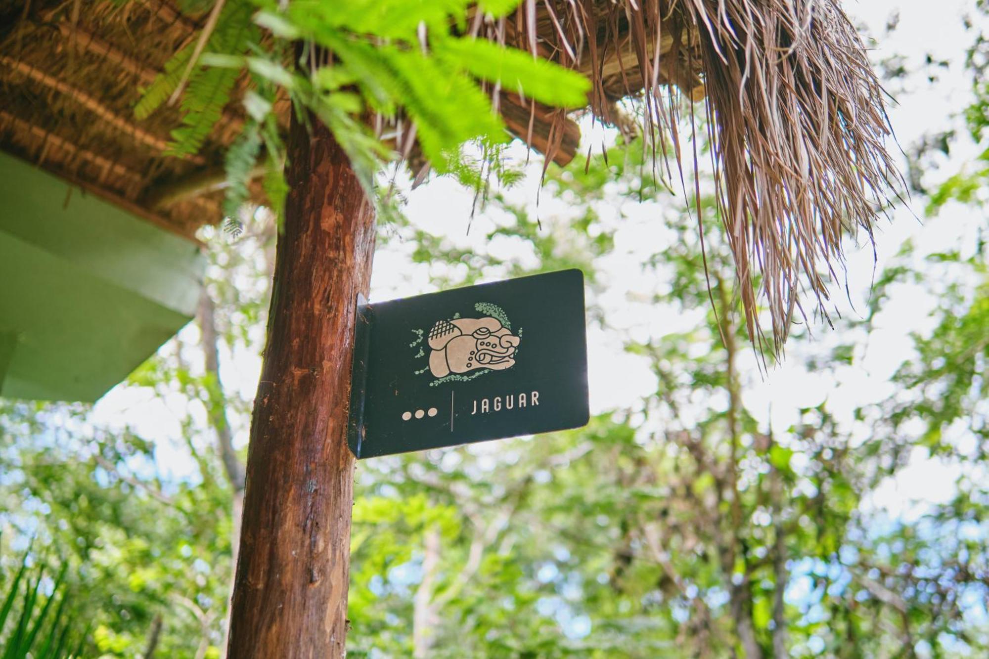 Villas Zamna - Jungle Villas 科苏梅尔 外观 照片